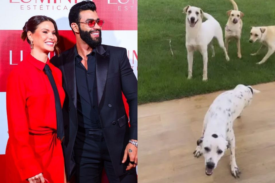 Foto colorida de um casal e vários cachorros ao lado - Metrópoles