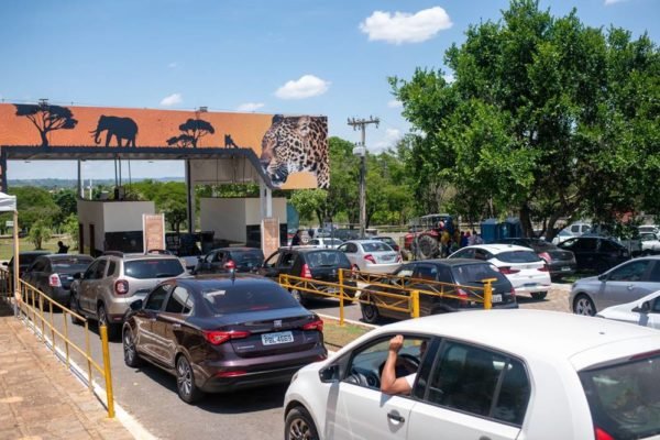Foto colorida de fila de carros em entrada do zoológico - Metrópoles