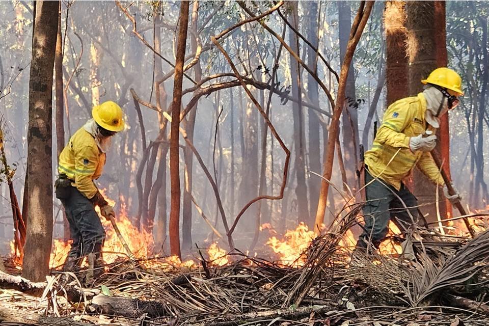 Queimadas No Amazonas Geraram Cerca De 11 Mil Multas, Diz Governo ...