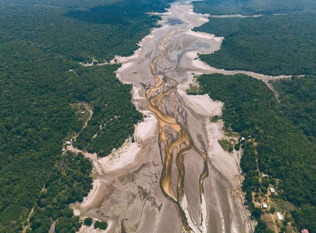 El Niño pode potencializar fogo na Amazônia, alertam cientistas - Amazônia  Real