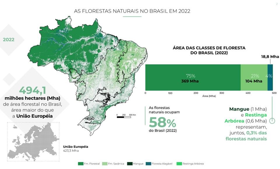 Foto colorida de perda de florestas naturais - Metr&oacute;poles