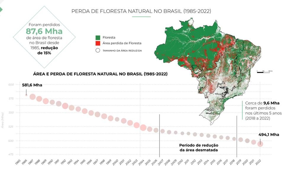 Foto colorida de perda de florestas naturais - Metr&oacute;poles