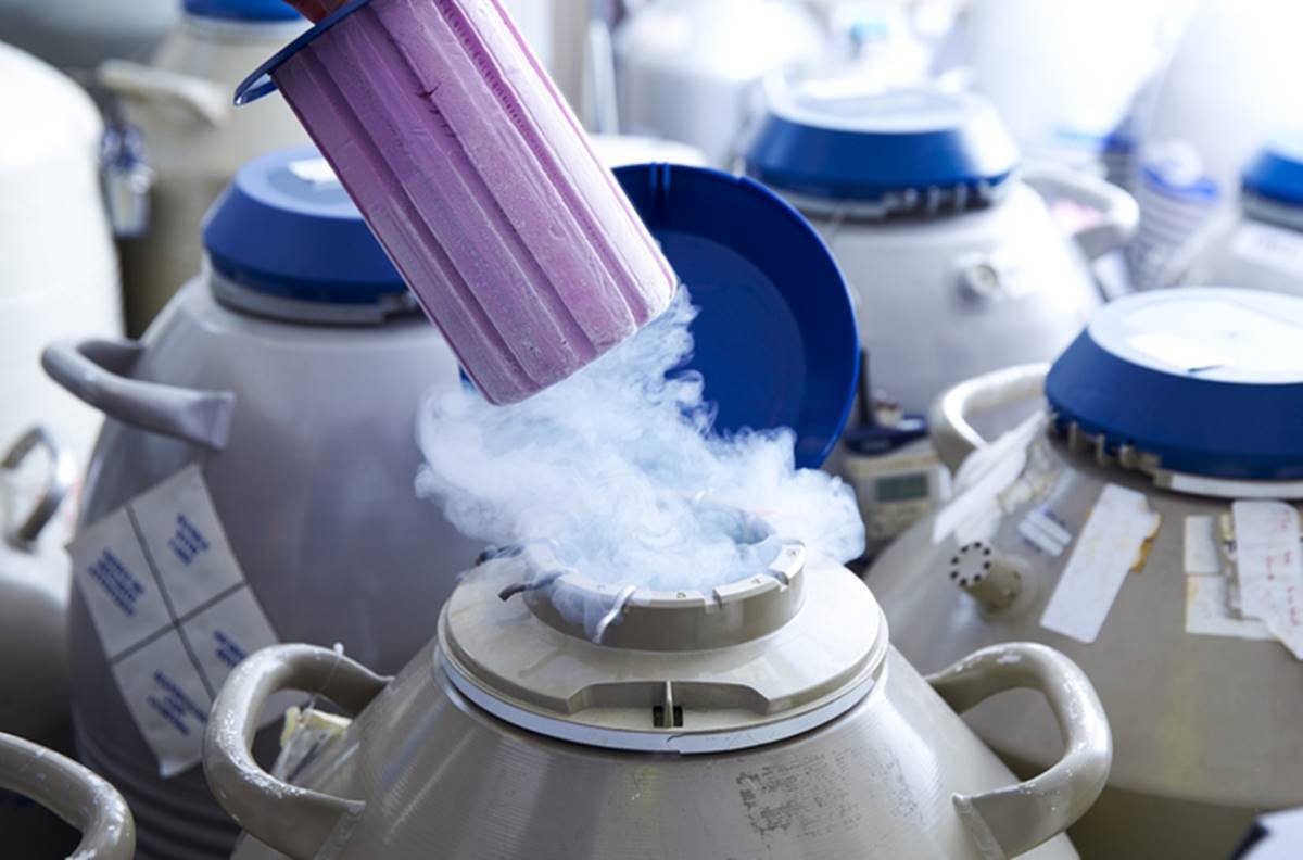 Foto colorida de tubo de óvulos em armazenamento para fertilização in vitro (FIV) - Metrópoles