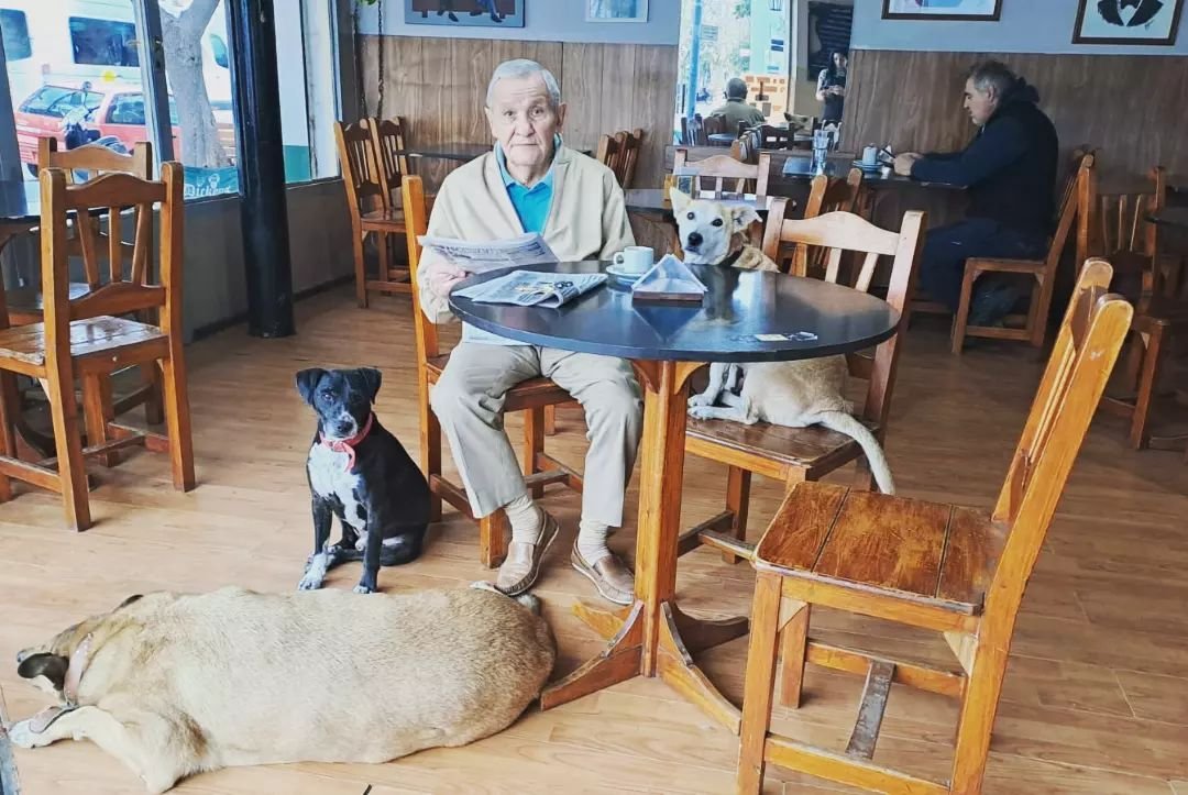 homem sentado à mesa cercado por cachorros em restaurante argentino