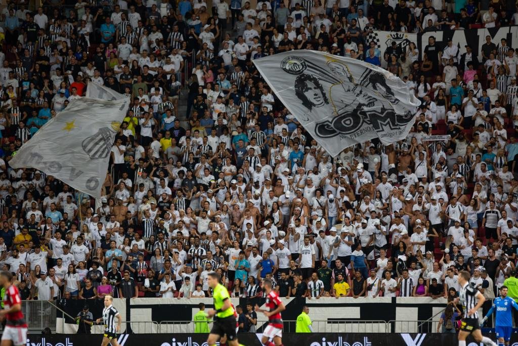 Torcida, palmas e bolão: como foi ver o jogo do Brasil dentro de um avião -  24/07/2023 - UOL Nossa