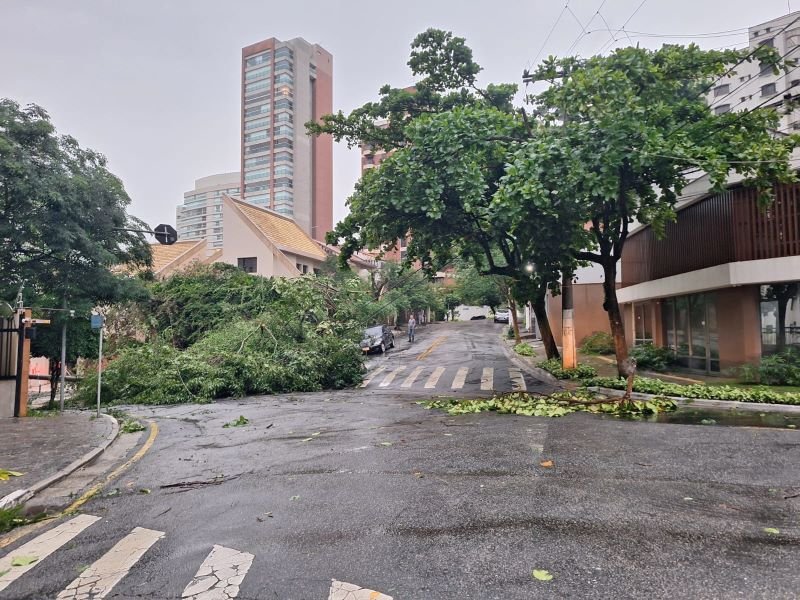 Seis dias sem luz em SP: banho gelado, cerco a carro da Enel e