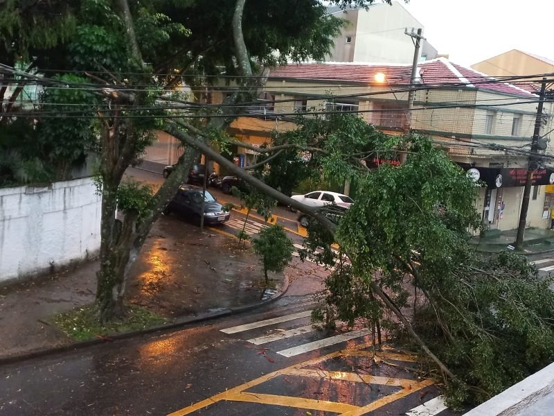 Imagem colorida mostra árvore caída em cima de carro em São Paulo. Problema causou queda de energia em diversas regiões. Tempestade causou a morte de várias pessoas - Metrópoles