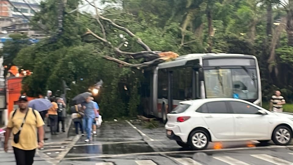 Imagem colorida mostra árvore caída após temporal em cima de ônibus na Estrada do M’Boi Mirim - Metrópoles