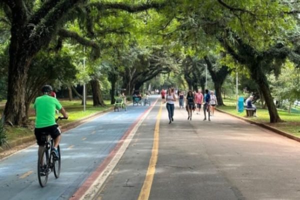 Foto colorida mostra alameda do Parque do Ibirapuera, com ciclista pedalando na ciclofaixa e pedestres caminhando ao lado