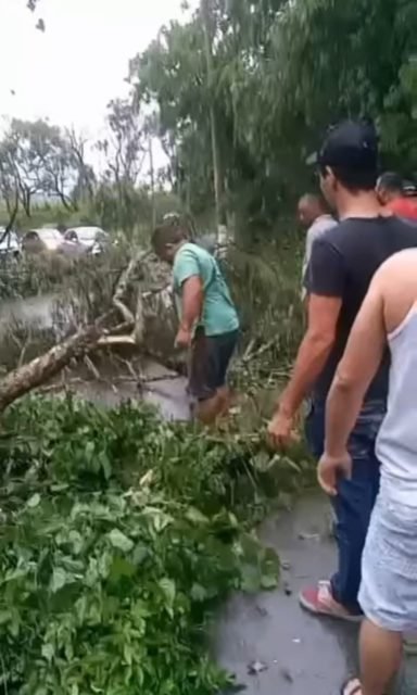 foto colorida de moradores tentando remover árvore atravessada na Estrada dos Galdinos, esquina com Rua dos Esquilos, em Cotia; cidade está sem luz há 3 dias