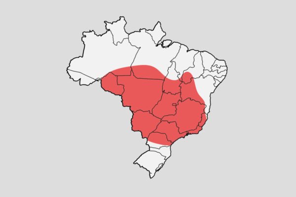 Mapa da onda de calor no Brasil