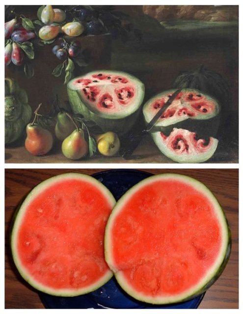 Imagem colorida de melancia selvagem (cima) e melancia domesticada (baixo) - Metrópoles