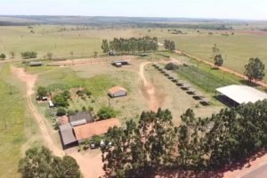 Sindicato Rural de Iguatemi alerta risco de mais invasões dos indígenas e solicita medidas urgentes pela paz no campo