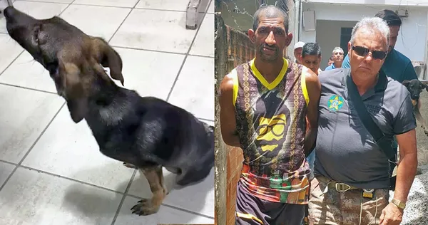 Homem é preso por espancar cachorro na Zona Oeste do Rio
