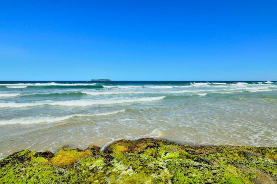 praia de nudismo Galheta, Florianópolis