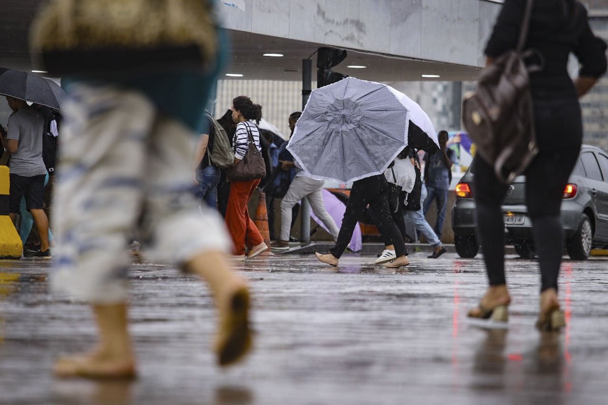 Foto colorida pessoas fujindo da chuva com guarda-chuva em Brasília - Metrópoles