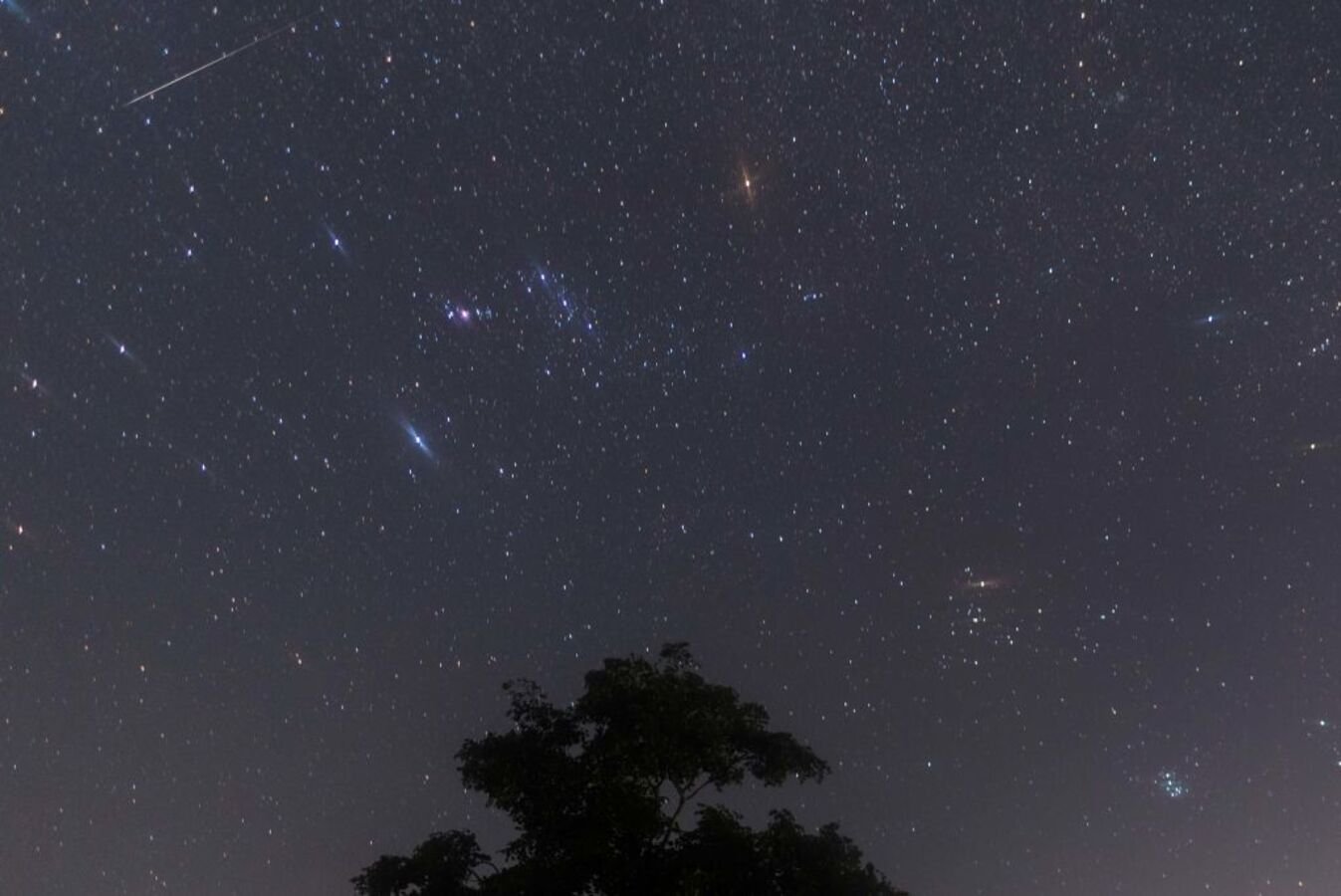 Chuva de meteoros Gemínidas: veja horário de pico e como assistir