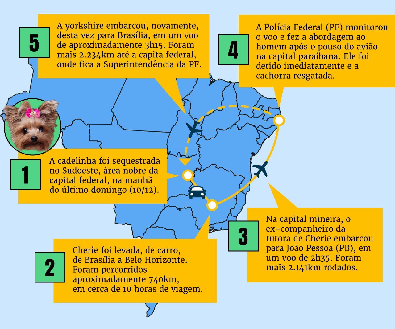 Infográfico mostra trajeto percorrido por cadela sequetrada no DF - Metrópoles