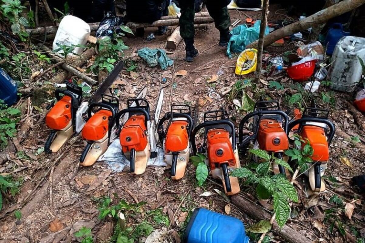 Desmatamento Amazônia Pará