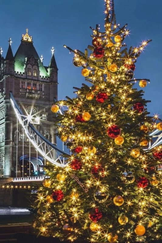 Londres - Árvore - Luzes de Natal