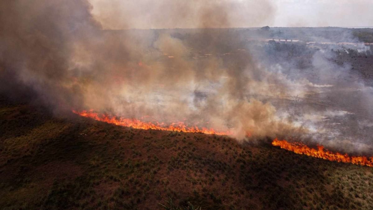 Imagem colorida da seca no Amazonas - Metrópoles