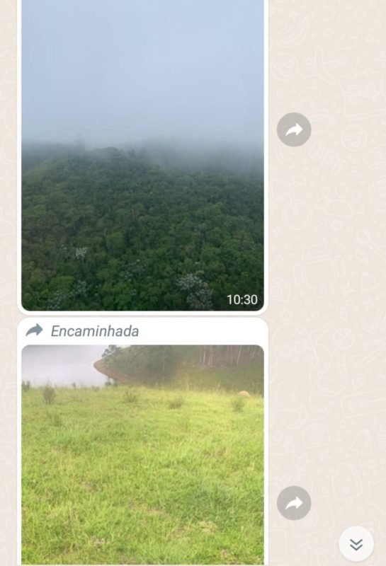 Print de tela de celular mostra troca de mensagens entre Letícia e o namorado mostra imagens de pouso forçado de helicóptero antes de desaparecer - Metrópoles