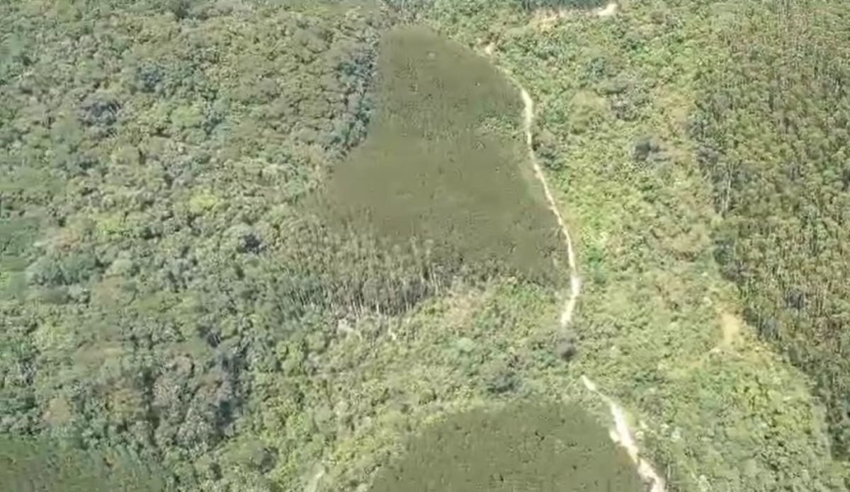 foto colorida de buscas aéreas da FAB sobre a região de Natividade da Serra (SP), em busca de helicóptero que desapareceu com quatro pessoas a caminho de Ilhabela - Metrópoles