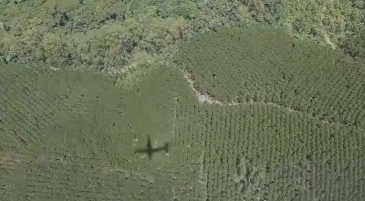 foto colorida de buscas aéreas da FAB sobre a região de Natividade da Serra (SP), em busca de helicóptero que desapareceu com quatro pessoas a caminho de Ilhabela - Metrópoles