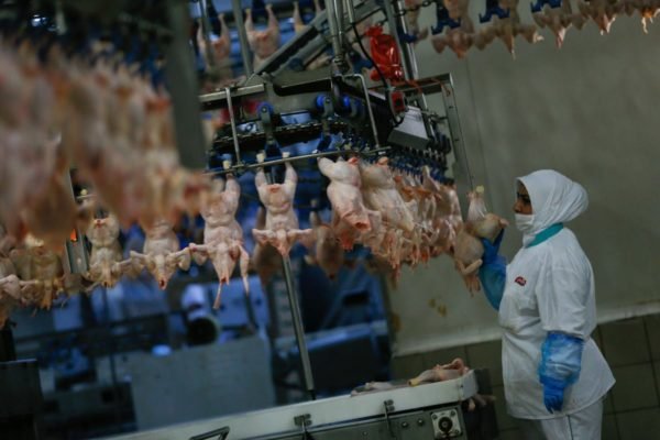 Imagem de um funcionário ao lado de prateleiras de frango em uma fábrica - Metrópoles