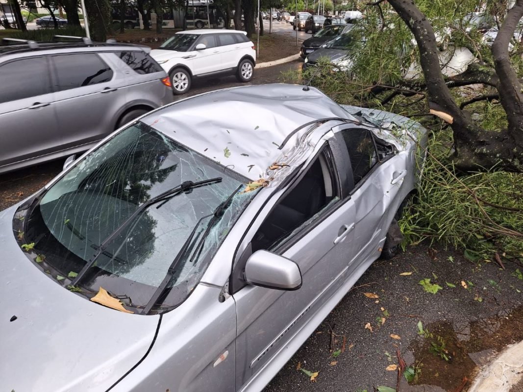 Imagem colorida mostra carro atingido por árvore após forte chuva em São Paulo - Metrópoles