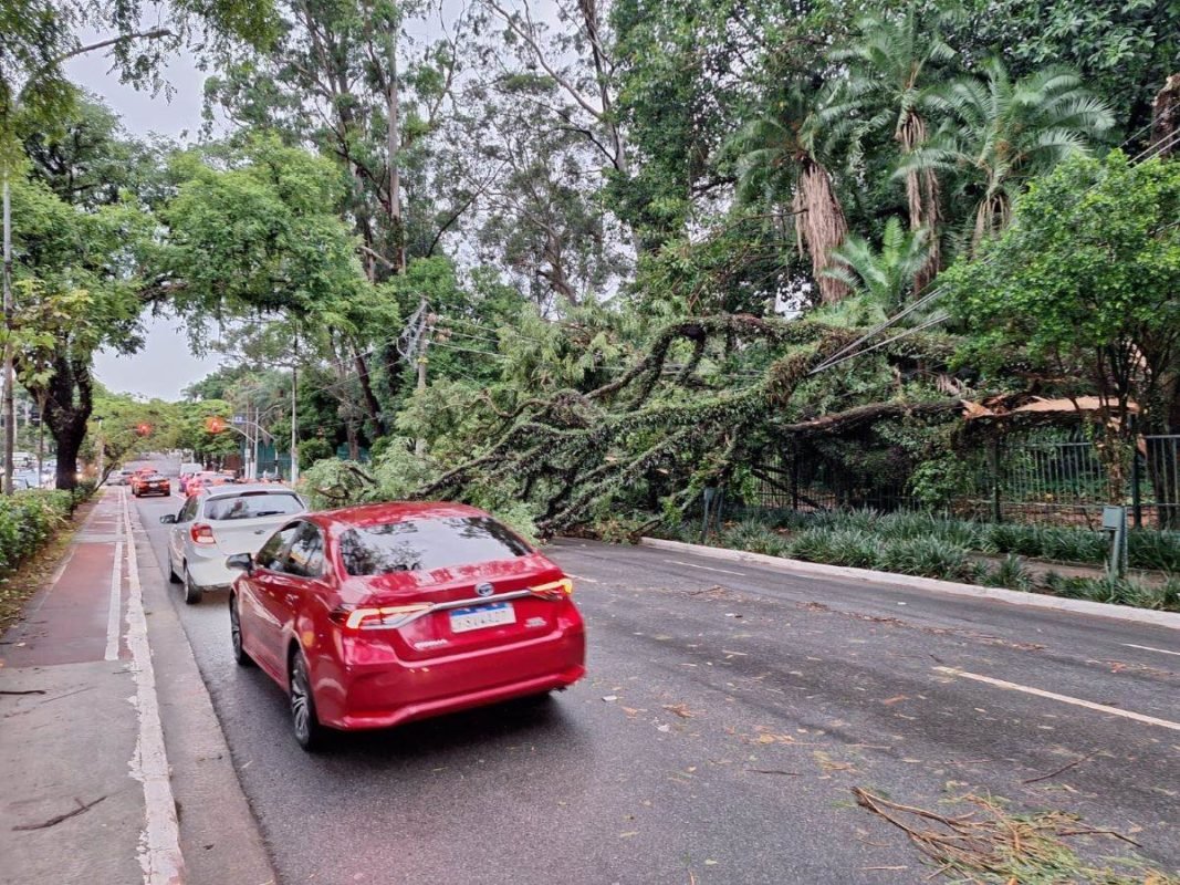 Imagem colorida mostra cidade de São Paulo após chuva - Metrópoles