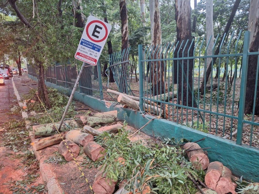 Imagem colorida mostra Parque do Ibirapuera após forte chuva - Metrópoles