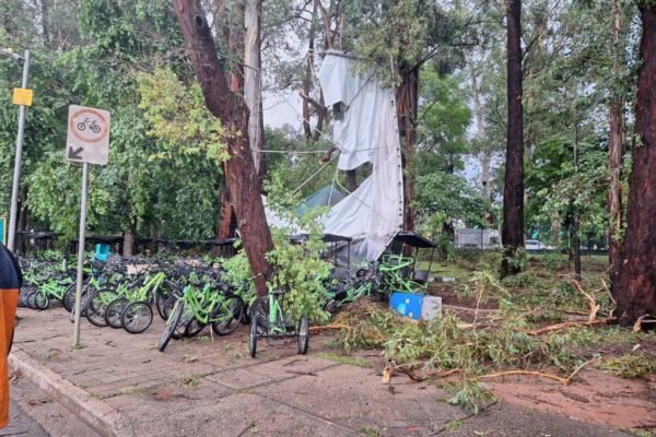 Imagem colorida mostra área de bicicletas do Parque do Ibirapuera com árvores caídas após forte chuva nesta segunda-feira (8/1) - Metrópoles