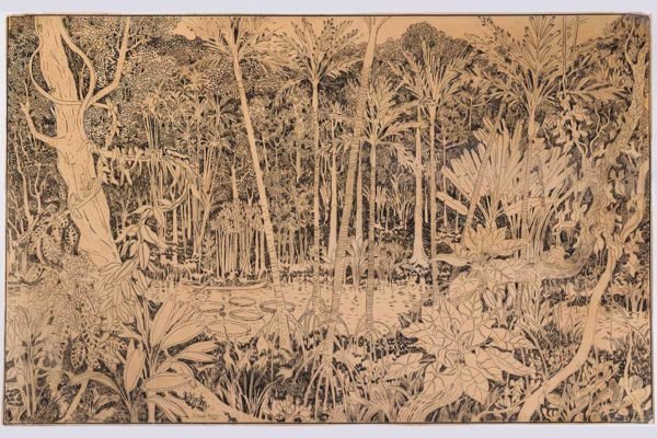 Roberto Burle Marx, Parque Zoobotânico de Brasília, Flora da Amazônia, nanquim sobre papel vegetal