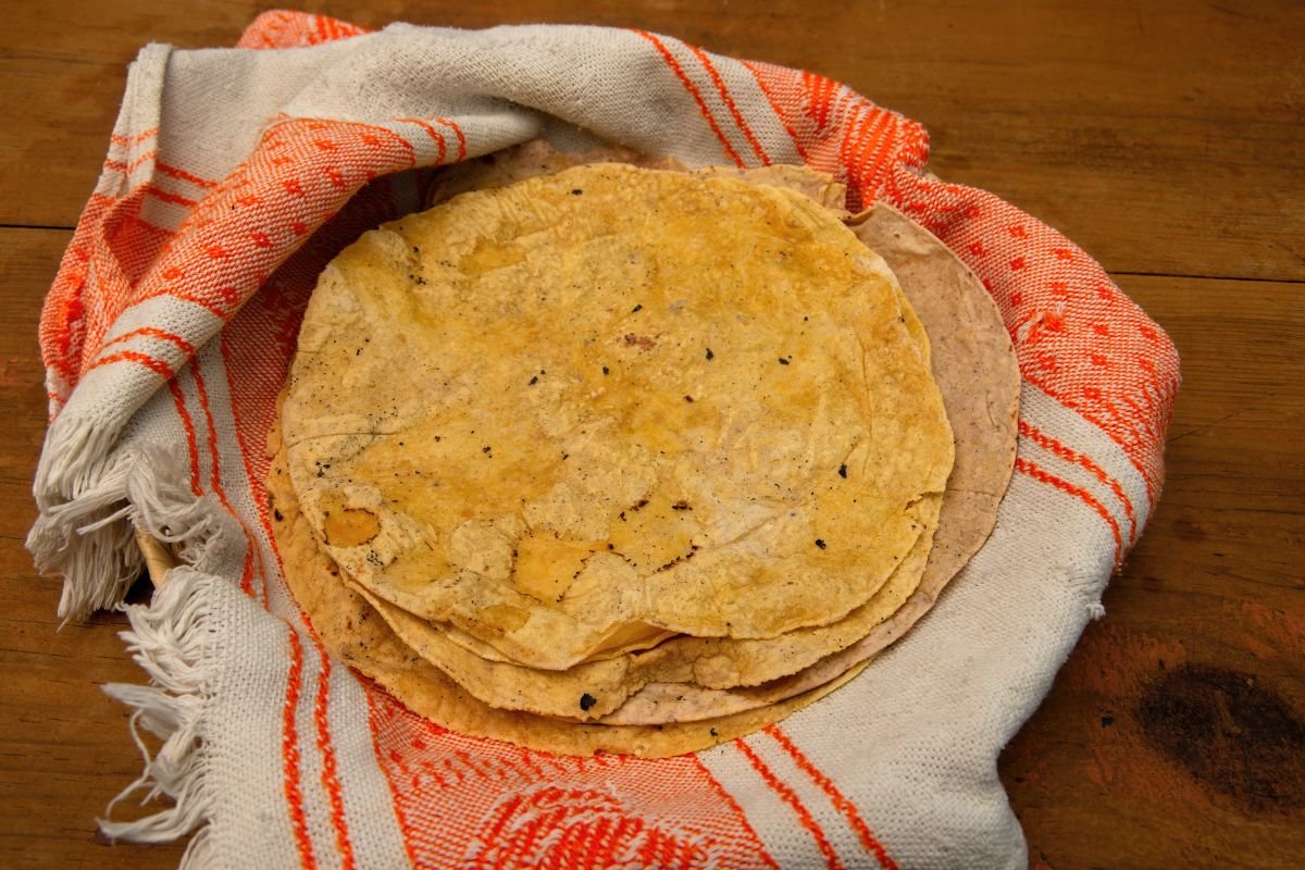 Foto colorida de uma tortilha de milho - Metr&oacute;poles