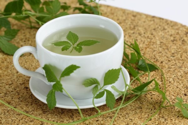 Foto colorida de xícara branca com folhas e chá de jiaogulan - Metrópoles