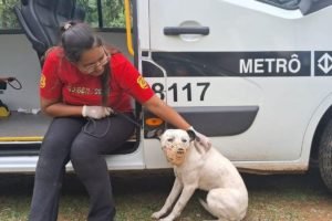 Imagem de mulher com blusa vermelha fazendo carinho em cachorro branco - Metrópoles