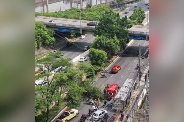 Imagem colorida mostra árvore caída no meio da Marginal Pinheiros, em São Paulo; ela acertou um motociclista que passava pelo local - Metrópoles