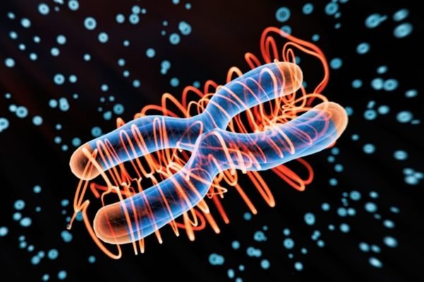 Ilustração de Cromossomo X - Metrópoles