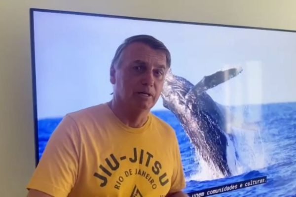 Imagem colorida mostra print de vídeo do ex-presidente Jair Bolsonaro com baleia ao fundo - Metrópoles