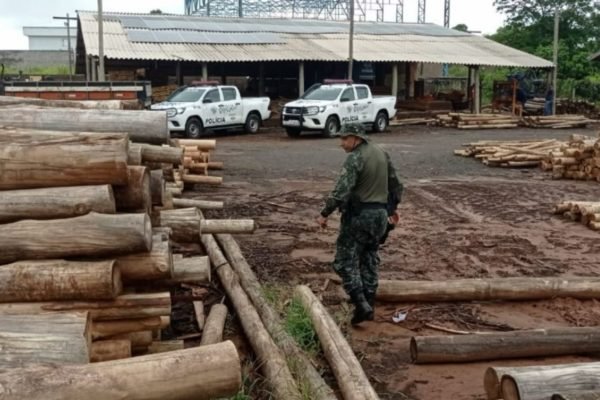 foto colorida de madeireira de Junqueirópolis autuada em mais de R$ 182 mil por irregularidades no estoque - Metrópoles