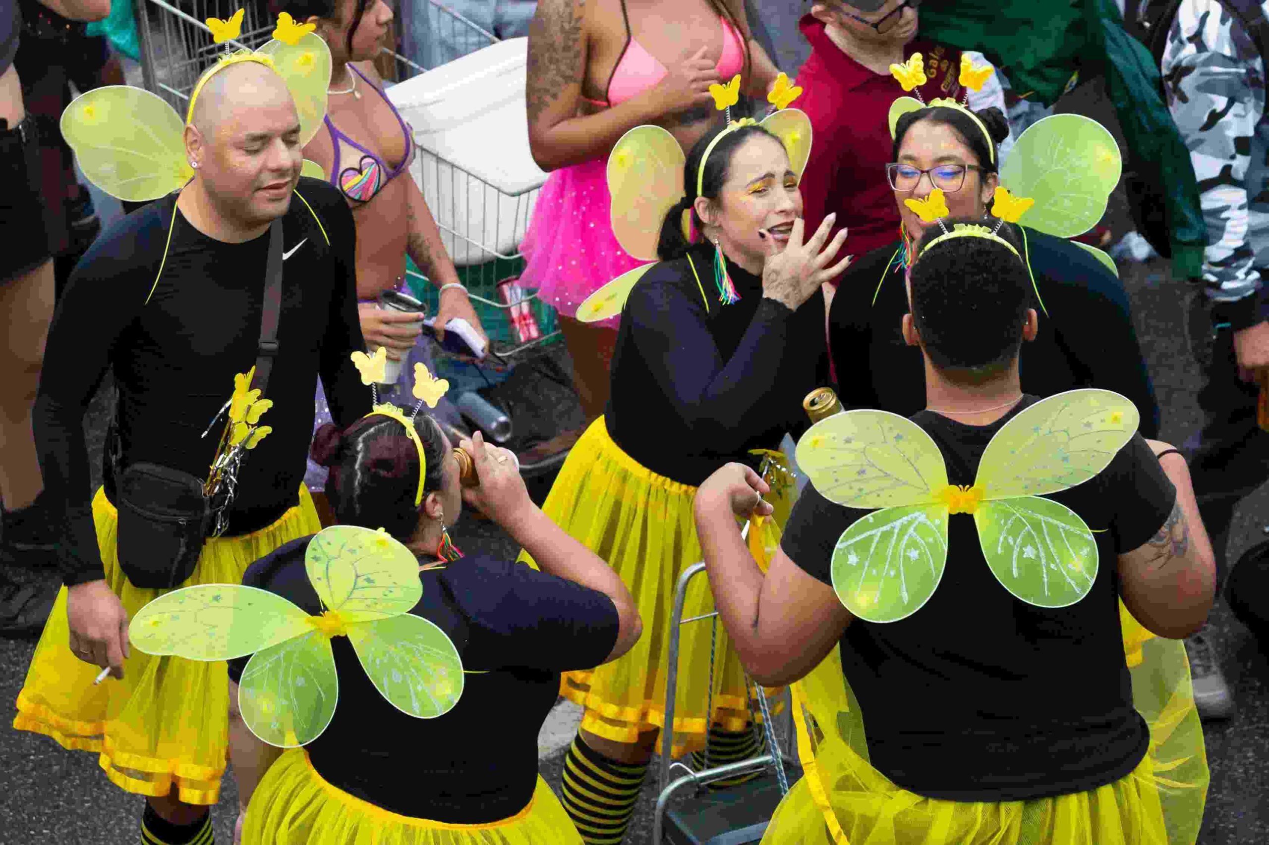 Grupo de pessoas fantasiado de abelhas no Carnaval