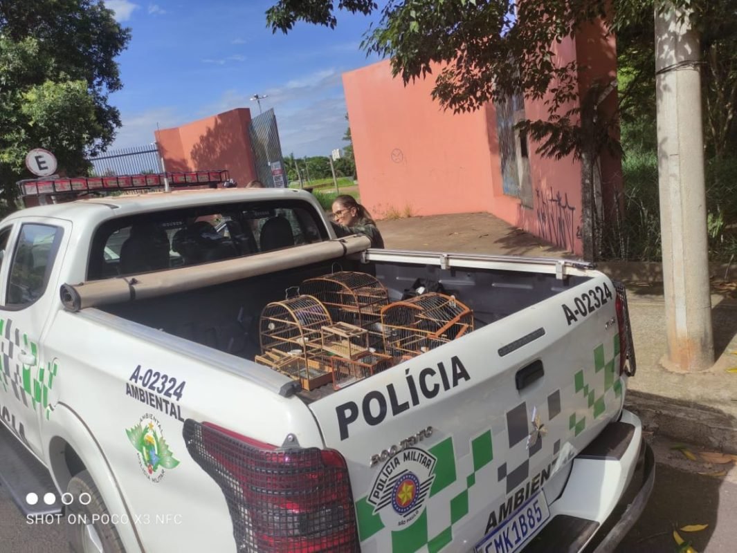 foto colorida de resgate feito pela Polícia Ambiental de duas aves silvestres usadas como isca por caçadores em Presidente Prudente - Metrópoles