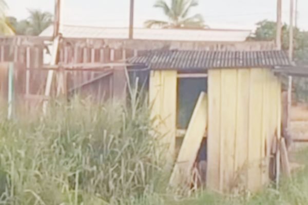 Imagem colorida de local onde homem abusa sexualmente de uma cachorra em Colniza, Mato Grosso - Metrópoles