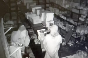 Imagem em destaque Polícia prende “Chris Brown” e “Morcegão” por furto em comércio do DF