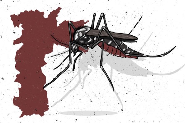 Ilustração do mapa de São Paulo em vermelho com o mosquito da dengue sobre ele