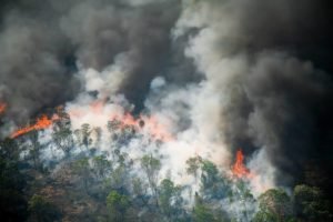 Foto colorida de queimada na Amazônia - Metrópoles