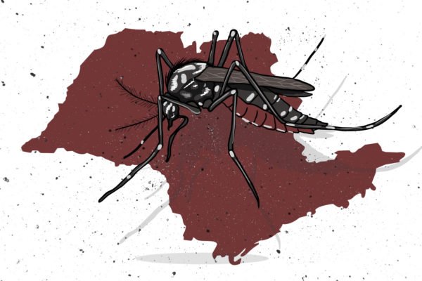 arte em cores com Mosquito da dengue sobre o mapa do estado de São Paulo - Metrópoles