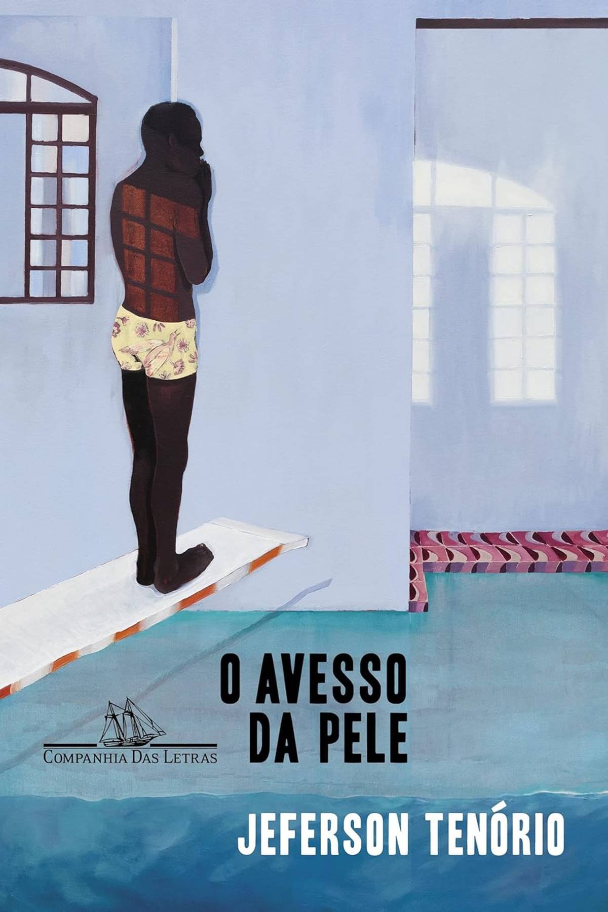 O Avesso Da Pele Educação De Go Recolhe Livros Distribuídos Pelo Mec Metrópoles 5402