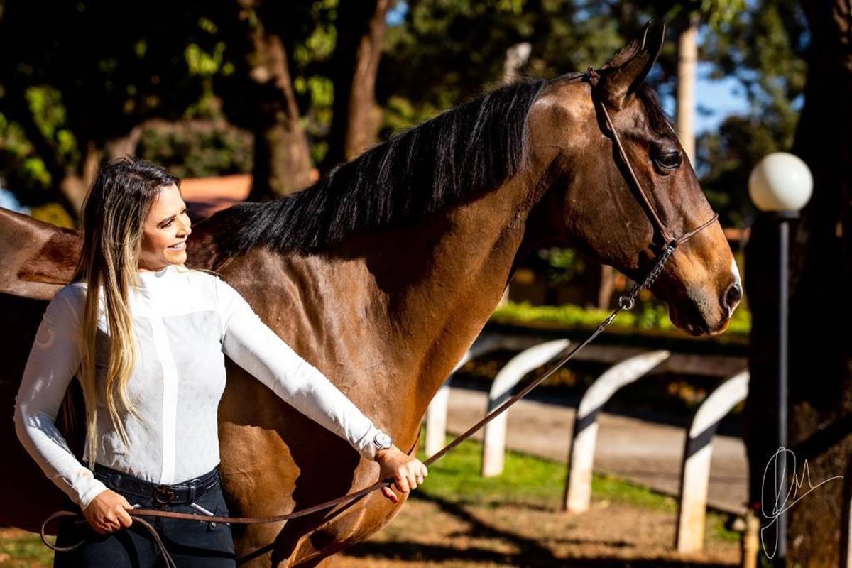 Foto colorida de cavalo marrom com pelo brilhante em pé para foto